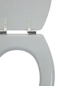 Maison by Premier Brooks Matte Grey Toilet Seat