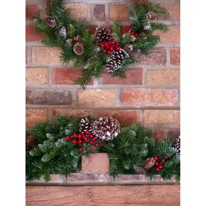 Frosted Berry 16" Grapevine Wreath