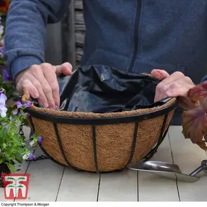 Thompson & Morgan Natural Garden Hanging Baskets & Liners 2 x 30cm Metal Hanging Basket Frame & 2 x Coconut Husk Liner