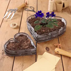 Set of 2 Heart Shaped Indoor Outdoor Garden Planter Trays