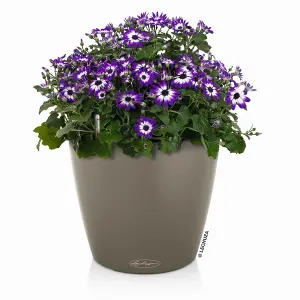 LECHUZA CLASSICO Color 35 Sand Brown Floor Self-watering Planter with Substrate and Water Level Indicator D35 H30 cm, 17L