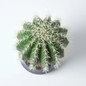 Homescapes Golden Barrel Artificial Cactus in Textured Stone Grey Pot, 38 cm Tall