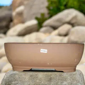 31cm Unglazed Bonsai Pot Oval - 31cm x 25cm x 10cm - Rectangle - Brown