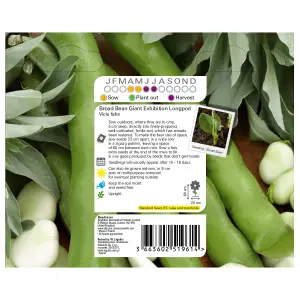 Verve Giant exhibition longpod broad bean Vegetable Seeds