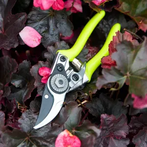 Burgon & Ball Florabrite Neon yellow Bypass Pruner