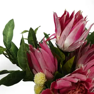 Pack of 6 x 65cm Protea Sugarbush Flower Stem - Pink