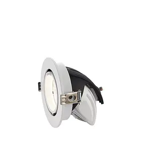 Luminosa Axial Integrated LED Recessed Light Matt White, Glass