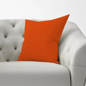 Burnt Orange Cushions 60cm x 60cm