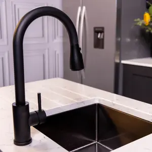 Flode Runda Kitchen Sink Mixer with Pull out Spray Matt Black Oval Head