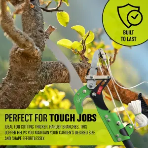 Ratchet Tree Lopper & Telescopic Pole Saw Pruning Cutting Branch Telescopic New