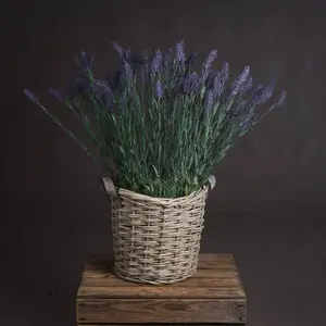 UK Homeliving Large Lavender Spray