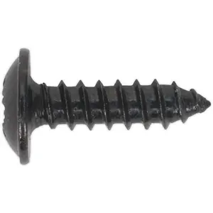 100 Pack of 3.5 x 13mm Self Tapping Black Screws with Flanged Pozi Head