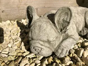 French Bulldog Stone Statue Outdoor Garden Ornament Puppy Dog British Made Sculpture