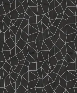 Galerie Special FX Black Silver Glitter Web Embossed Wallpaper