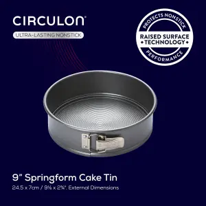 Circulon Momentum Grey Round Carbon Steel Non-Stick Freezer Safe Springform Cake Tin 9"