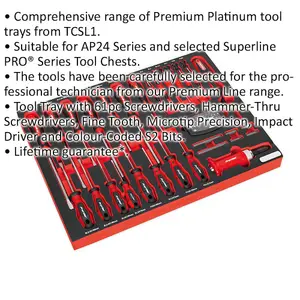 Premium 72-Piece Screwdriver Set with Tool Tray - Slotted & Philips