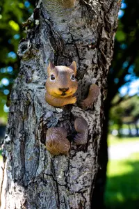 Squirrel Tree Peeker Garden Ornament