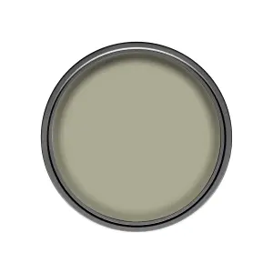 Dulux Walls & ceilings Overtly olive Silk Emulsion paint, 2.5L