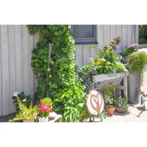 VegTrug Raised Garden Bed Wooden Planter Small Wall Hugger Grey Wash