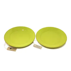 Selena Glazed Hand Dipped Kitchen Dining Set of 2 Dinner Plates Lime Green 25cm