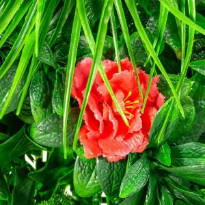 Primrose Artificial Mixed Plants Red Rose Green Wall Hedge Panel 1m x 1m