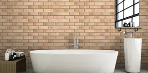 Ibstock Minster Beckstone Mix  Brick 65mm Mini Pack 250