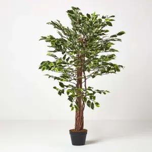 Homescapes Variegated Green Artificial Ficus Tree with Real Wood Trunk, 4 Ft