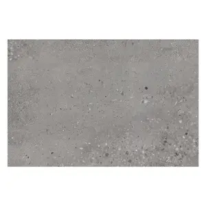 Mythos Matt Grey Concrete Effect Porcelain Outdoor Tile - Pack of 1, 0.54m² - (L)900x(W)600