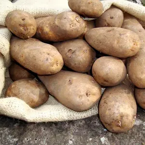 Grow Your Own Vegetables - Potato Golden Wonder 2kg