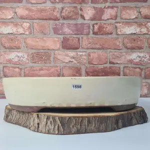 38cm Glazed Bonsai Pot - Oval - 38cm x 31cm x 8cm - White