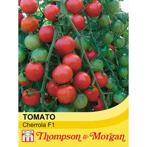 Tomato Cherrola F1 Hybrid 1 Seed Packet (10 Seeds)