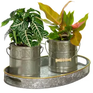 Set of 2 Galvanised Indoor Outdoor Garden Planter Pots and Tray