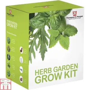 Seed Growing  Kit - Herb Garden