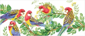 E/ROSELLA GATHERING - Diamond Painting Kit: Eastern Rosella Gathering - Diamond Dotz