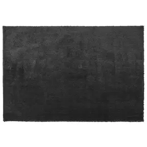 Shaggy Area Rug 200 x 300 cm Black EVREN