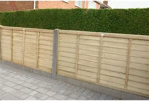 Forest 6'X3' Pressure Treated Lap Fence Panel