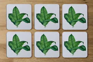 Bunched Leaves (Coaster) / Default Title