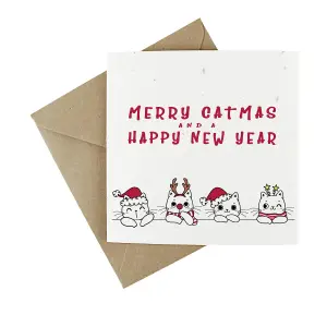 Easy Eco Wildflower Christmas Cat Cards - Eco-friendly and Plantable - Pack of 10