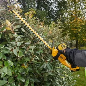 DEWALT DCM563PB 18v Hedge trimmer