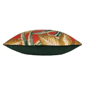 Wylder Ebon Wilds Jahi Botanical Feather Filled Cushion