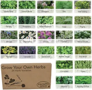 Pronto Seed Herb Bumper Pack, 24 Varieties, Over 2600 Seeds, Grow Your Own Herbs