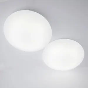 Dion 30cm Wht Oyster Twin Pk LED