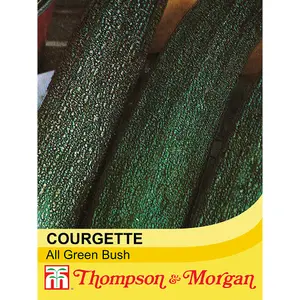 Courgette All Green Bush 1 Seed Packet (20 Seeds)