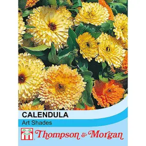 Calendula Art Shades 1 Seed Packet (100 Seeds)