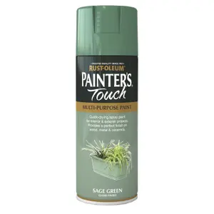 Rust-Oleum Painter's Touch Sage green Gloss Multi-surface Decorative spray paint, 400ml