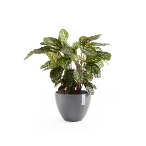 Antwerp Smooth Finish Ecopot 50cm Grey