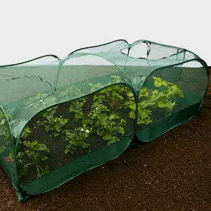 GardenSkill Pop Up XL Garden Fruit Vegetable Cage & Plant Protection Crop Cover 2x1x0.75m H