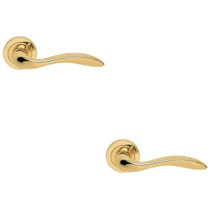 2 PACK - Premium Scroll Door Handle Set - Polished Brass Elegant Lever on Round Rose