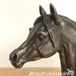 Arab Horse Head figurine in solid cold cast bronze designed by Harriet Glen