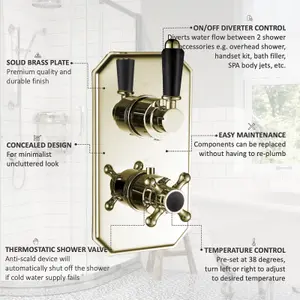 ENKI Regent English Gold Black Crosshead 2-Outlet Solid Brass Thermostatic Twin Shower Valve TSV040